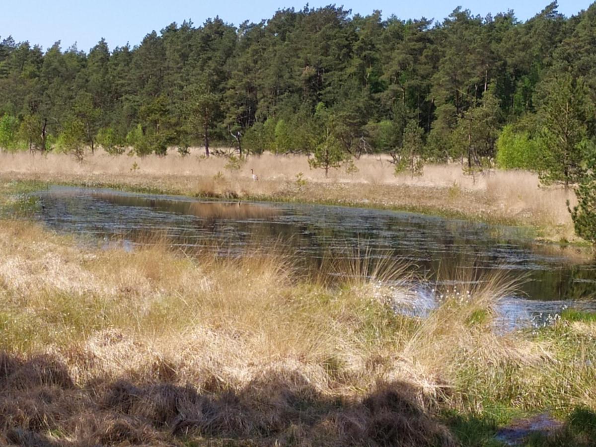 Gaestehaus Hoelting Lubberstedt Exteriör bild